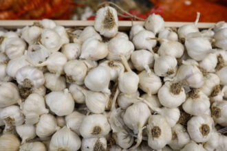 guvernul a aprobat ajutorul pentru cultivatorii de usturoi in 2026 fermierii pot primi pana la 3 000 de euro pe hectar 6a0f1d0c330b8