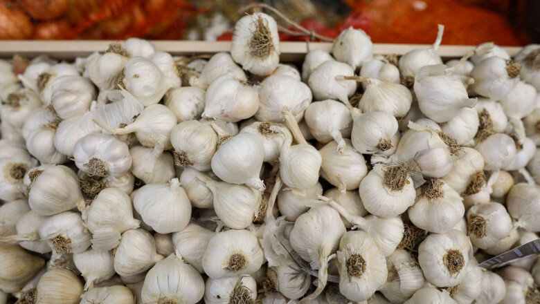 guvernul a aprobat ajutorul pentru cultivatorii de usturoi in 2026 fermierii pot primi pana la 3 000 de euro pe hectar 6a0f1d0c330b8