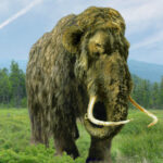 un mamut pastrat timp de 70 de ani intr un muzeu s a dovedit a fi cu totul altceva ce animal era de fapt 6a1c9437b8353