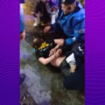 video bataie in centrul vechi din capitala intre ucraineni si o banda de motociclisti romani jandarmii au intervenit in timpul noptii 6a1046374c133
