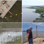 video experiment inedit in dolj insule artificiale pentru atragerea pasarilor salbatice pe cel mai mare lac din judet e doar inceputul 6a1286c6ce6cb