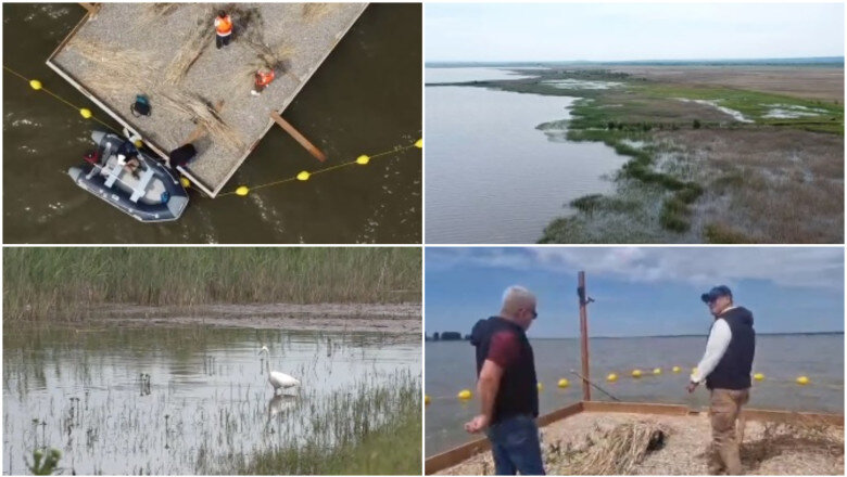 video experiment inedit in dolj insule artificiale pentru atragerea pasarilor salbatice pe cel mai mare lac din judet e doar inceputul 6a1286c6ce6cb