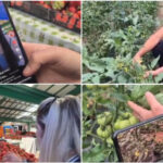 video noul trend printre comerciantii din piete fructe si legume promovate pe retelele sociale cum ajuta clipurile online vanzarile 6a114357387c5