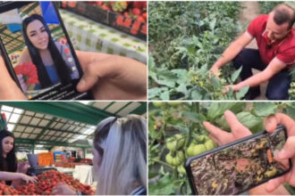 video noul trend printre comerciantii din piete fructe si legume promovate pe retelele sociale cum ajuta clipurile online vanzarile 6a114357387c5