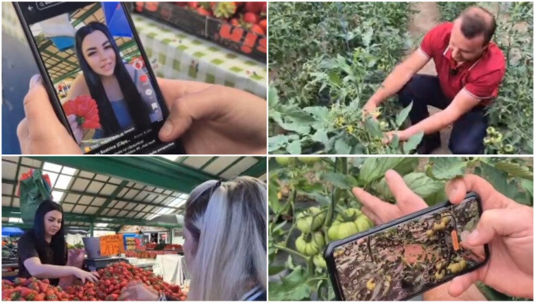video noul trend printre comerciantii din piete fructe si legume promovate pe retelele sociale cum ajuta clipurile online vanzarile 6a114357387c5