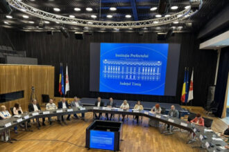 cine este noul prefect al judetului timis numit dupa ce cornelia elena micicoi si a dat demisia in urma unor perchezitii 6a3456b9be2ec