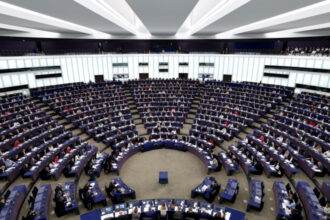 comisia pentru comert international a parlamentului european a aprobat eliminarea taxelor pentru unele importuri din sua 6a1ea87bb3dc6