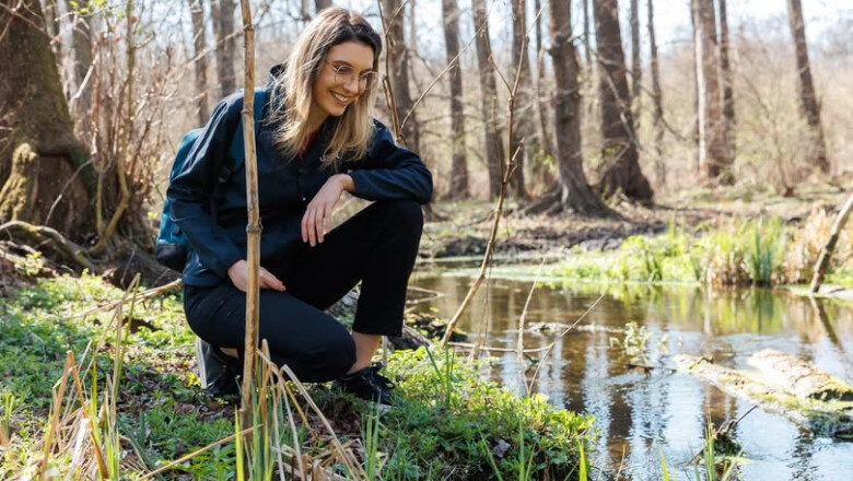 diana buzoianu sesizare penala 250 000 de puieti care trebuiau plantati existau doar pe hartie asa se fura padurile viitoare 6a1eaa9655523