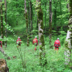 ursii si viperele coboara tot mai des pe traseele turistice recomandarile salvamont pentru cei care aleg muntele in vara 2026 6a269cb8df284