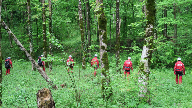 ursii si viperele coboara tot mai des pe traseele turistice recomandarile salvamont pentru cei care aleg muntele in vara 2026 6a269cb8df284