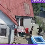 video sentinta definitiva in cazul fugarului emil ganj a fost condamnat la inchisoare pe viata ce despagubiri primeste familia victimei 6a2a8d7bbfd75