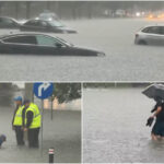 videofoto vremea extrema loveste romania strazi inundate copaci cazuti si gospodarii sub ape peste 2 800 de oameni au ramas fara curent 6a3ad20544cb3