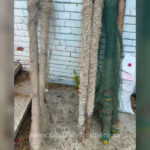 zeci de unelte pentru pescuit in valoare de aproape 60 000 de lei au fost ridicate de politistii de frontiera 6a25587631b93