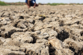 avertismente sumbre ale expertilor despre super el nino fenomenul ar putea creste preturile alimentelor timp de ani de zile 6a570e0ba9e97