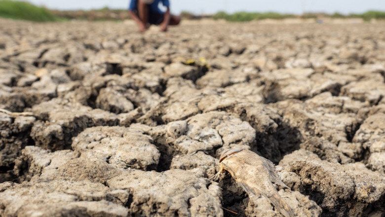avertismente sumbre ale expertilor despre super el nino fenomenul ar putea creste preturile alimentelor timp de ani de zile 6a570e0ba9e97