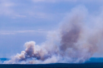 canicula loveste germania incendiu urias intr un parc national restrictii pe rin si limitari la consumul de apa 6a57d318b9359