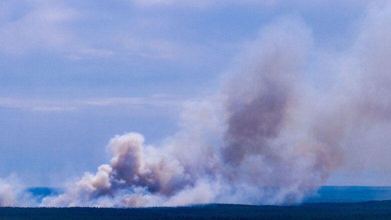 canicula loveste germania incendiu urias intr un parc national restrictii pe rin si limitari la consumul de apa 6a57d318b9359