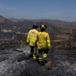 cine sunt victimele incendiului din spania premierul sanchez face apel la educarea populatiei si la vigilenta 6a54f7c548ec4