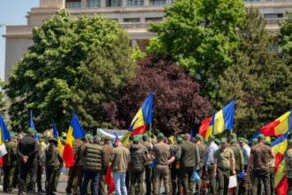 federatia silva cere modificarea legii salarizarii silvicultorii avertizeaza ca ar putea pierde 25 din salarii 6a5e16389d1f6