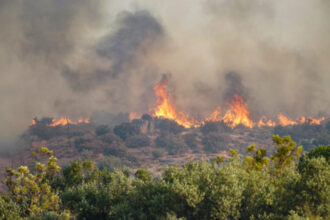 finala cupei mondiale cu peripetii pentru presedinta mexicului incendiile de vegetatie din canada i au intarziat calatoria 6a5cb68f9de92