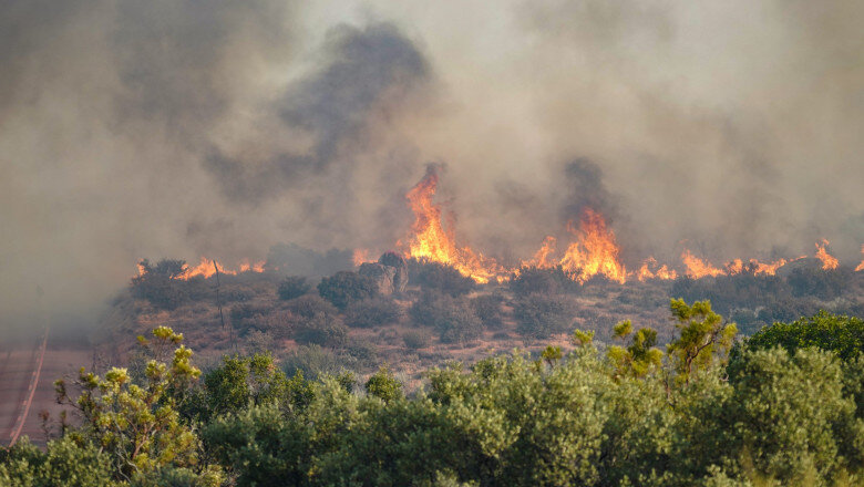 finala cupei mondiale cu peripetii pentru presedinta mexicului incendiile de vegetatie din canada i au intarziat calatoria 6a5cb68f9de92