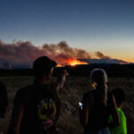 galerie foto incendiile de vegetatie fac ravagii in franta 10 000 de oameni au fost evacuati din calea flacarilor conditiile se deterioreaza 6a4b851964d61