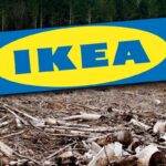 greenpeace padurile naturale din romania ajung mobila ikea in 13 tari europene 6a686322c99b6