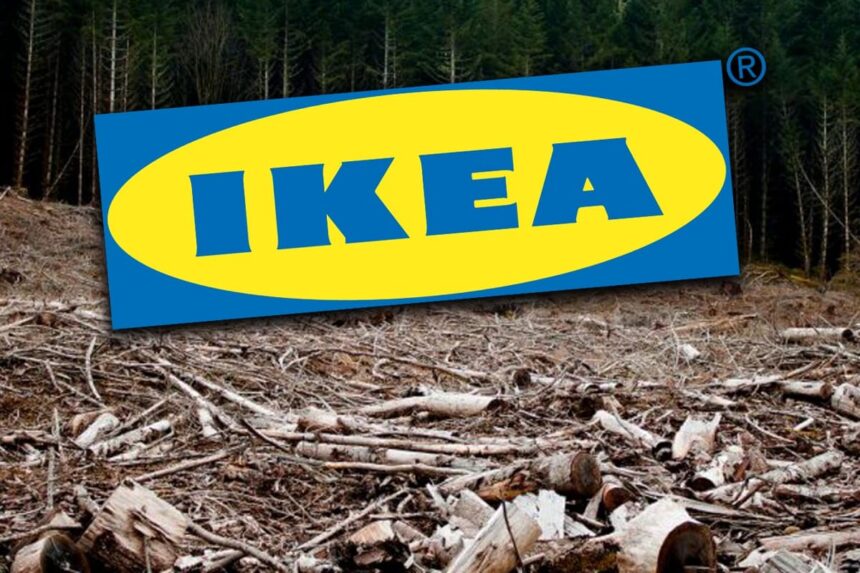 greenpeace padurile naturale din romania ajung mobila ikea in 13 tari europene 6a686322c99b6