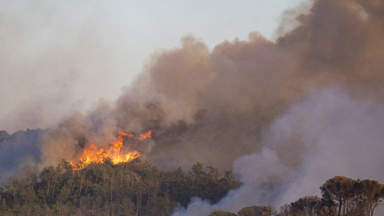 incendiu devastator in catalonia 45 000 de oameni au fost sfatuiti sa ramana in case din cauza fumului 6a48efff52760