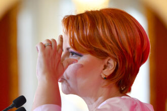 lia olguta vasilescu daca s ar da mandatul psd ar reusi sa obtina voturile 6a56882a69744