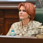 lia olguta vasilescu despre anticipate nu stiu cati parlamentari au interesul sa voteze 6a56a902243d2