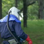 noi reguli pentru firmele de dezinsectie si deratizare din bucuresti consiliul general a aprobat procedura de autorizare 6a6a1dc3aec69