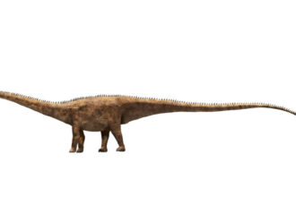 o noua specie de dinozaur urias a fost descoperita pornind de la o singura vertebra 6a52b745d3b67