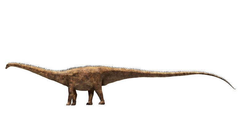 o noua specie de dinozaur urias a fost descoperita pornind de la o singura vertebra 6a52b745d3b67