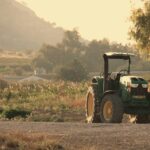 o schimbare a dietei la nivel global ar putea reduce drastic poluarea si salva milioane de vieti cercetatorii atrag atentia asupra agriculturii 6a622ae648f88