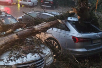 primaria sector 2 explica ce trebuie facut daca masina a fost deteriorata in urma furtunii de azi noapte ai la dispozitie 72 de ore 6a44df8d22a02
