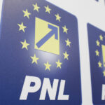 scandalul din pnl ajunge iar in instanta liderii demisi ai filialelor din bucuresti cer suspendarea deciziei 6a69bb73d4994