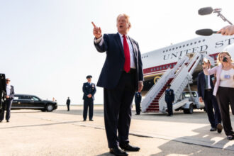 trump isi apara miliardul de dolari facut anul trecut din criptomonede toata lumea face profit 6a455df354581