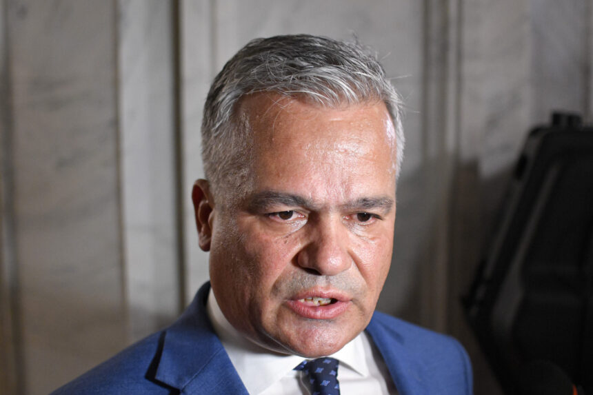 vestea anunta ca sustine platforma liberal conservatoare din pnl nu e indreptata impotriva cuiva 6a5d0cc042151