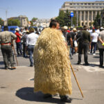 victor negrescu cere sprijin european pentru crescatorii de ovine si caprine afectati de restrictii 6a6c69a8cb65e