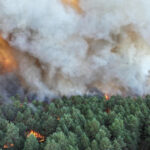 video incendii forestiere de amploare exceptionala in apropierea parisului au fost mobilizati 400 de pompieri avioane elicoptere 6a54794309a6f