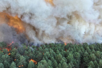video incendii forestiere de amploare exceptionala in apropierea parisului au fost mobilizati 400 de pompieri avioane elicoptere 6a54794309a6f