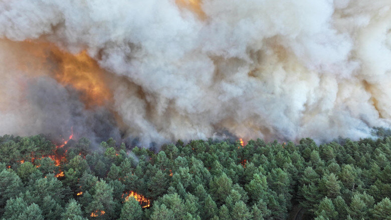 video incendii forestiere de amploare exceptionala in apropierea parisului au fost mobilizati 400 de pompieri avioane elicoptere 6a54794309a6f