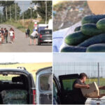 video supraproductia de castraveti esec pentru producatorii din olt pretul derizoriu cu care se vinde sacul de 25 de kilograme e pomana 6a474a485748a