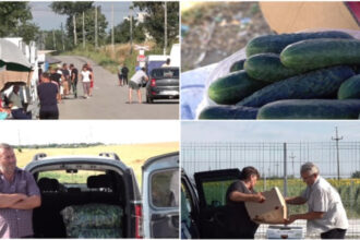 video supraproductia de castraveti esec pentru producatorii din olt pretul derizoriu cu care se vinde sacul de 25 de kilograme e pomana 6a474a485748a