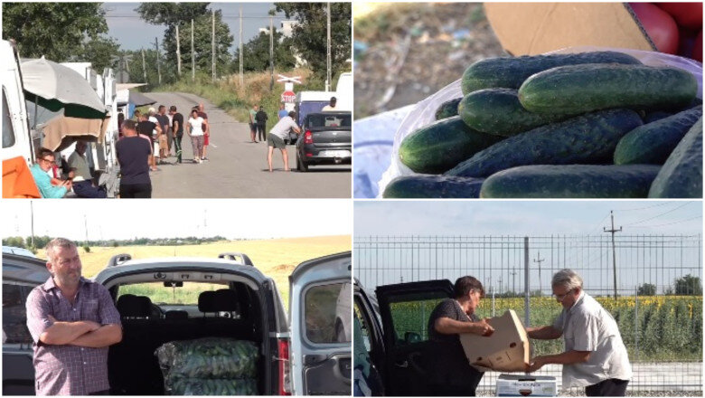 video supraproductia de castraveti esec pentru producatorii din olt pretul derizoriu cu care se vinde sacul de 25 de kilograme e pomana 6a474a485748a