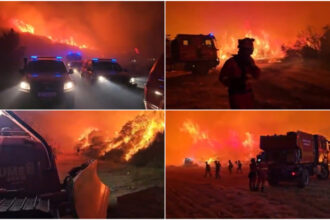 videofoto cel mai mare incendiu din spania din acest an 12 000 de hectare au ars un barbat a fost arestat pentru incendiere intentionata 6a5a056ea51be