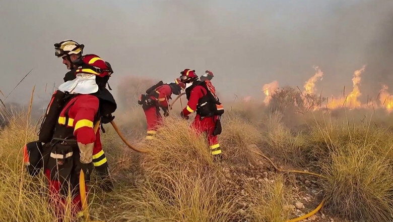 videofoto incendiu de vegetatie devastator in spania 11 oameni au murit victimele ar fi cetateni straini anunta autoritatile 6a50bcdd44006