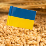 agricultorii cer control si trasabilitate completa a cerealelor ucrainene aflate in tranzit si protejarea fermierilor romani 6a7f4e85d0881