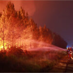 incendiile de padure fac ravagii in intreaga europa serviciul copernicus avertizeaza asupra unor conditii extrem de severe 6a80ae4b2c41a